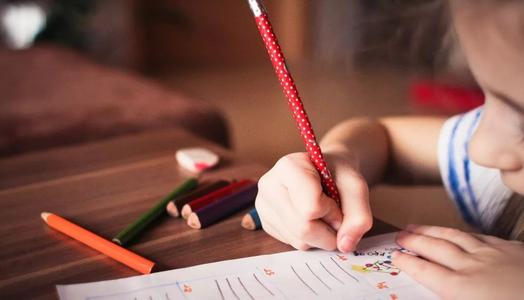 陜西教師資格證考試小學綜合素質都包括什么內容？