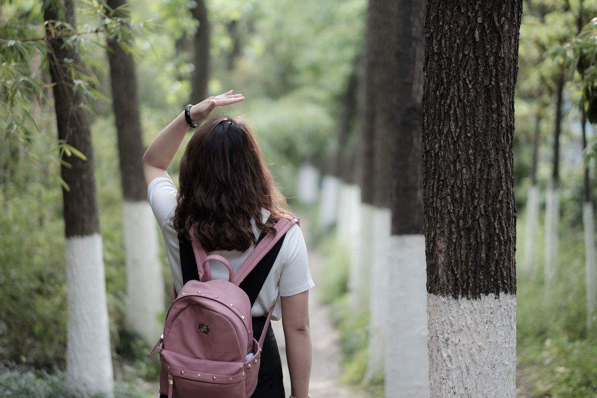 教師資格證考試報名入口