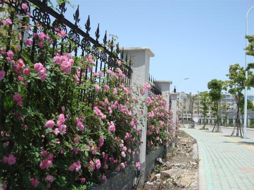 陜西教師資格證考試報名入口