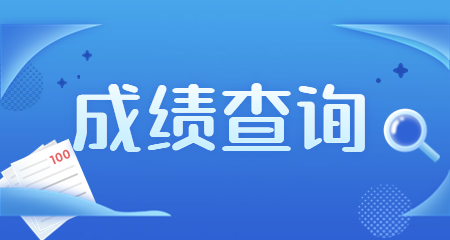 陜西教師資格證成績查詢